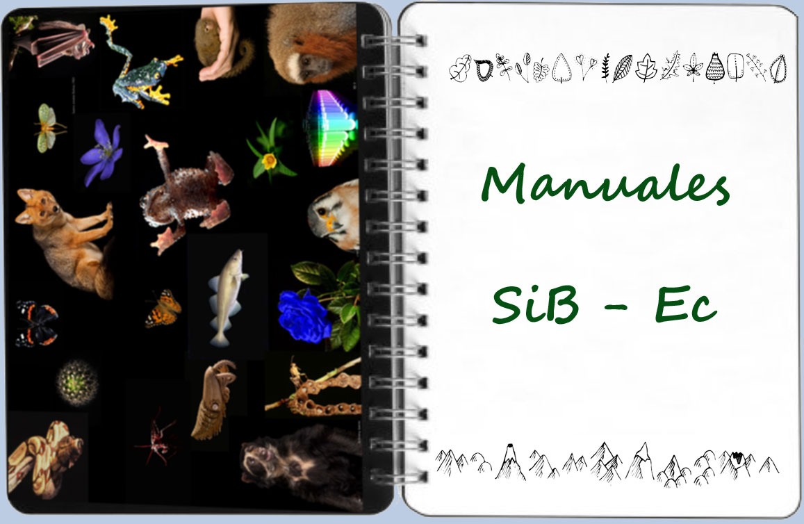 Manuales