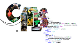 Servicio Web de Listados Permisos CITES