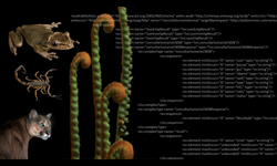 Servicio Web de Listado de Especies